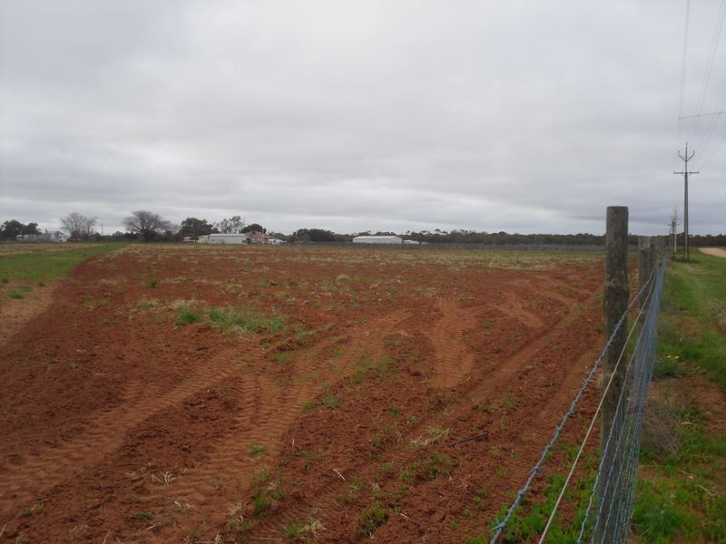 Section 60 Corner West & Grosser Roads, Glossop SA 5344