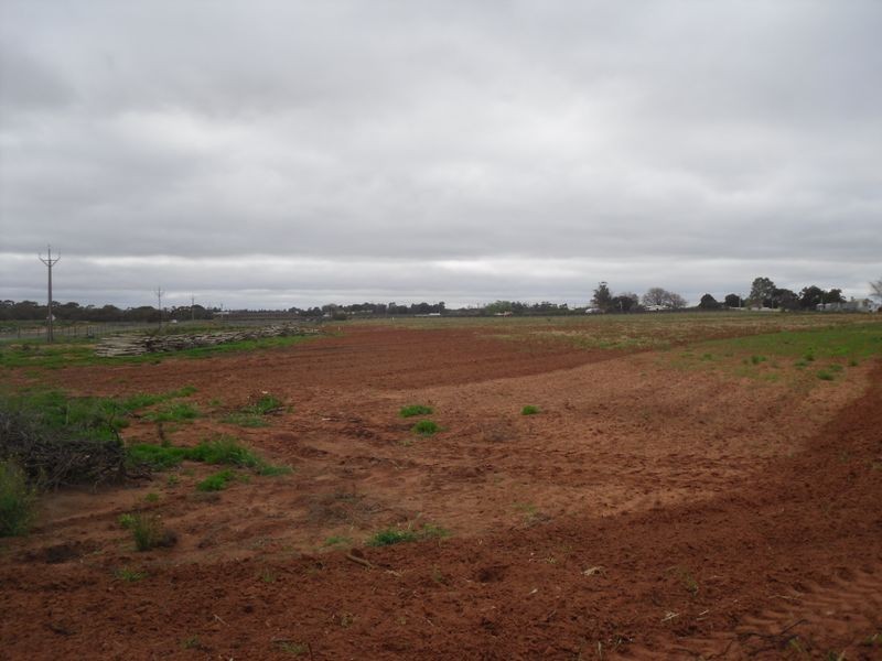 Section 60 Corner West & Grosser Roads, Glossop SA 5344