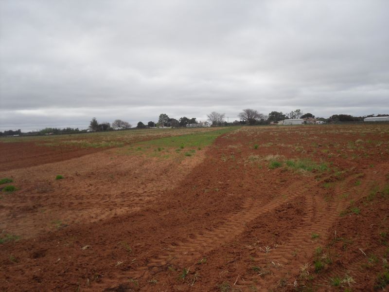 Section 60 Corner West & Grosser Roads, Glossop SA 5344