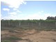 Lot 1 Morgan Road, Cobdogla SA 5346