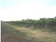 Lot 1 Morgan Road, Cobdogla SA 5346