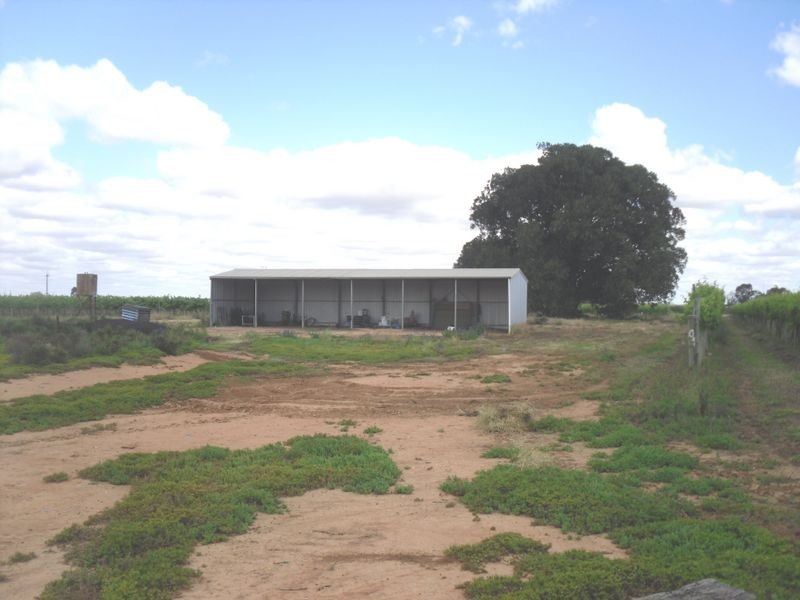 Lot 1 Morgan Road, Cobdogla SA 5346