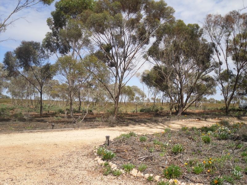 75 Goodes Road, Loxton SA 5333