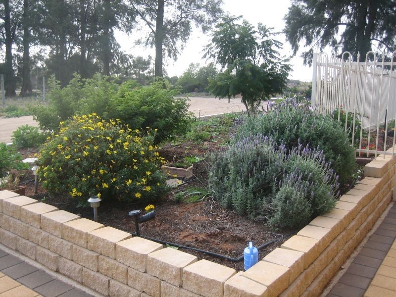Section 17 Briers Road, Loxton SA 5333