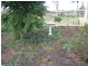 Section 17 Briers Road, Loxton SA 5333