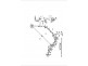 219 Anderson Road, Loxton SA 5333 Floorplan