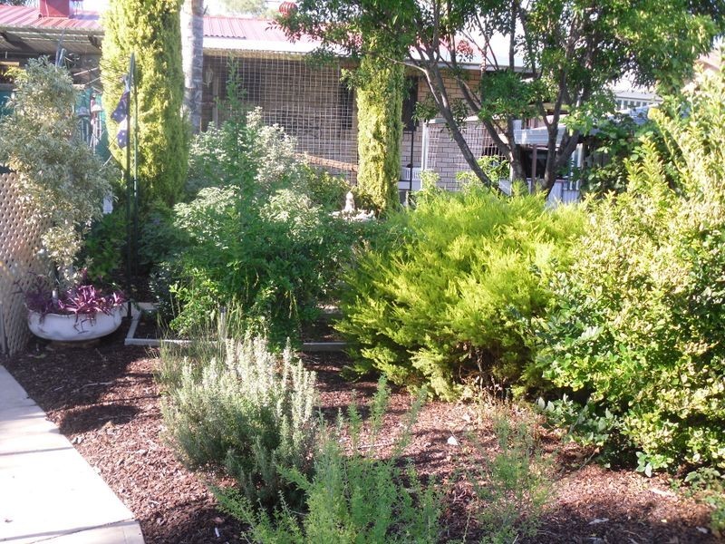 9 Bruce Road, Barmera SA 5345