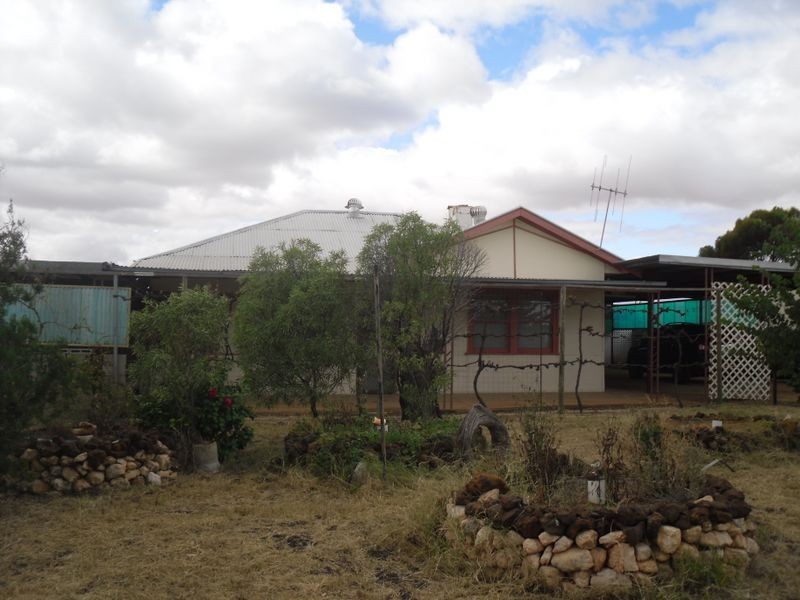 247 Dorsch Avenue, Loxton SA 5333