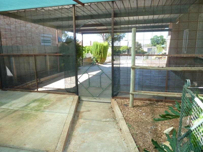 24 Dickerson Street, Barmera SA 5345