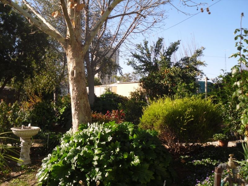 7 Bonnar St, Barmera SA 5345