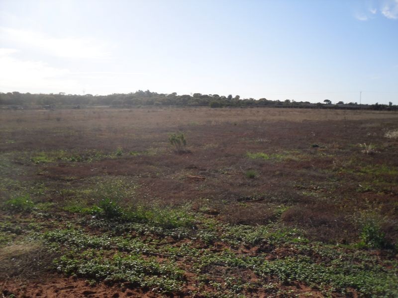 218 West Rd, Glossop SA 5344