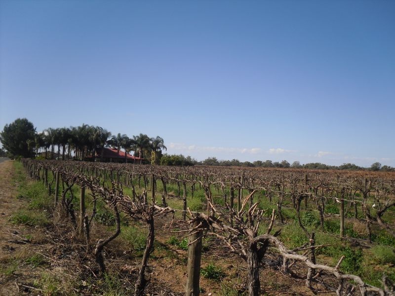 1535 Oliver Rd, Berri SA 5343