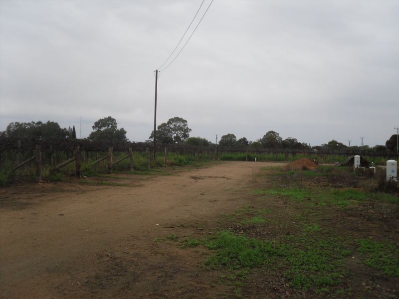 Section 29 Chilton Rd, Berri SA 5343