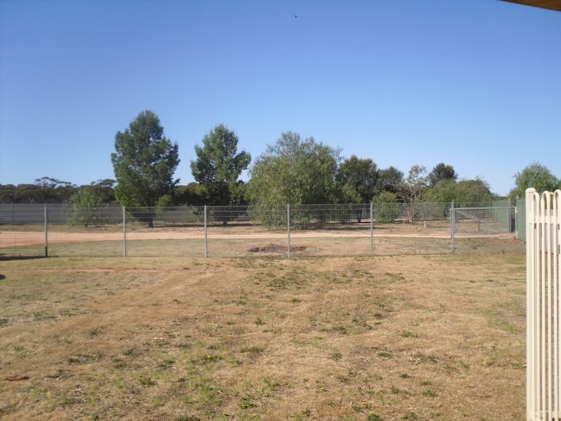 71 Crossing Rd, Berri SA 5343