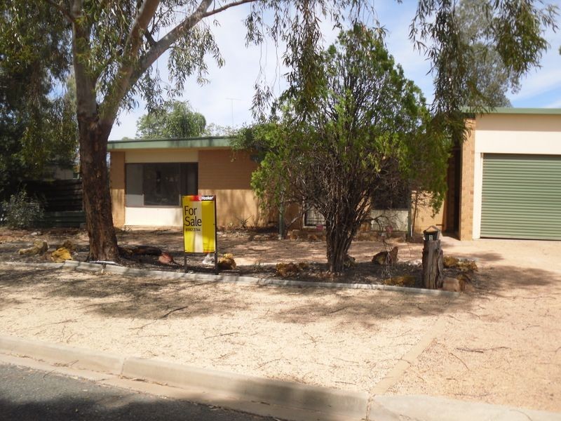 2 Napier Crt, Berri SA 5343