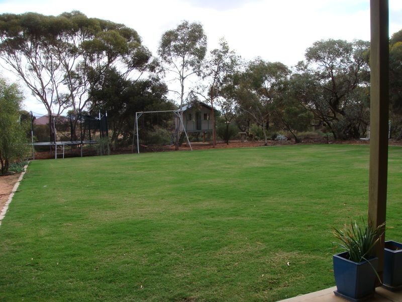 Newton Rd, Berri SA 5343