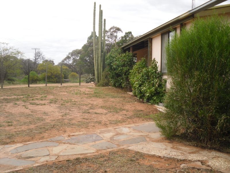 114 Bigg Rd, Monash SA 5342
