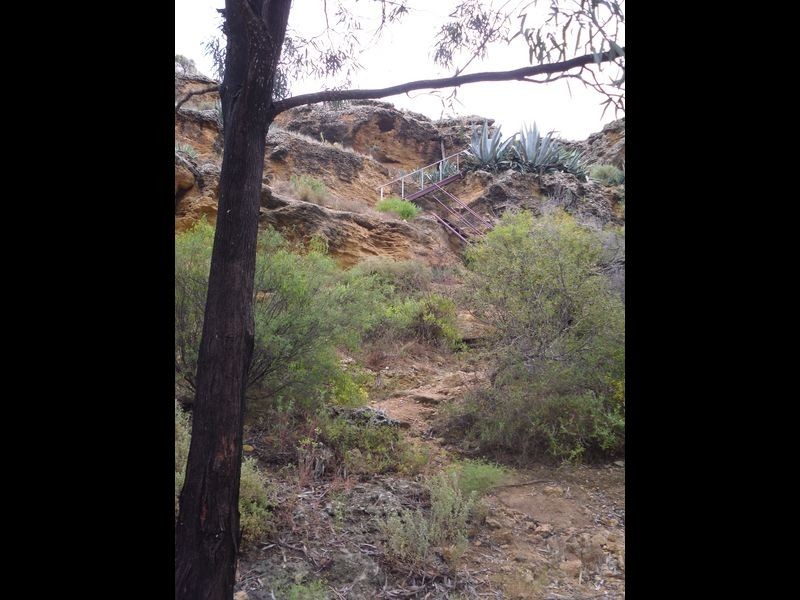 90 Idyll Avenue, Morgan SA 5320