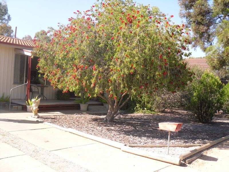 15 Kelly Ave, Barmera SA 5345