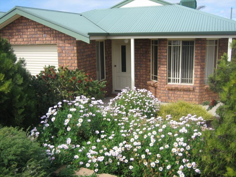 6A Magarey Street, Berri SA 5343
