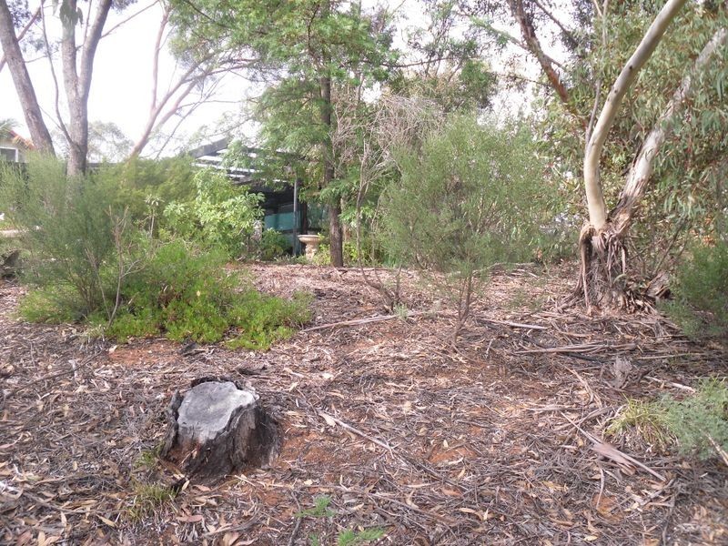 2 Woolmer/Smith Road, Glossop SA 5344