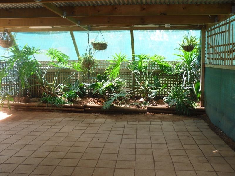 52 Curren Road, Berri SA 5343