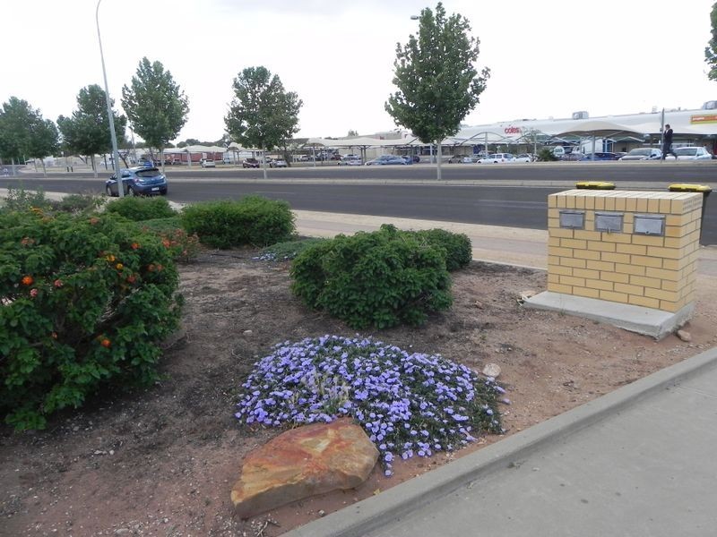 53 Kay Avenue, Berri SA 5343