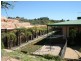 Pike Creek Road, Berri SA 5343