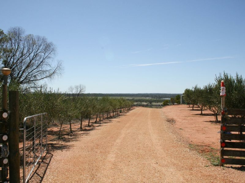 Pike Creek Road, Berri SA 5343