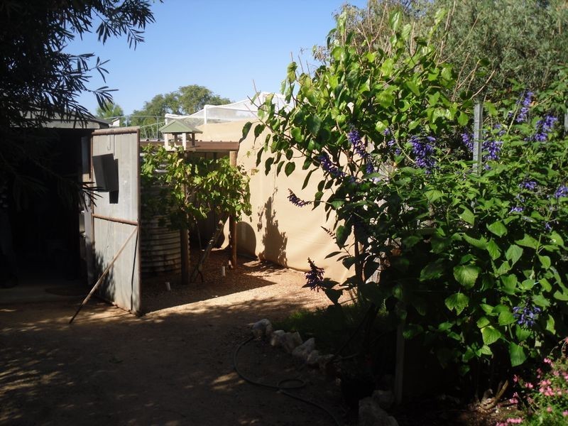 15 Coral Street, Loxton SA 5333