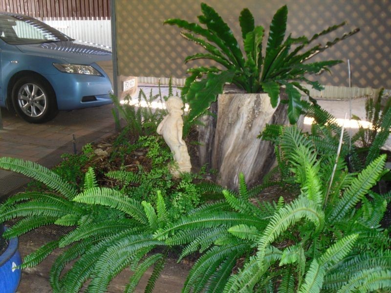 15 Coral Street, Loxton SA 5333