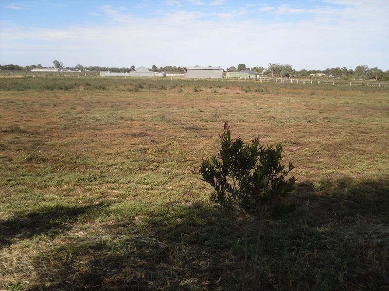 284 Caddy Road, Barmera SA 5345