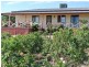 81 Woolmer Road, Glossop SA 5344