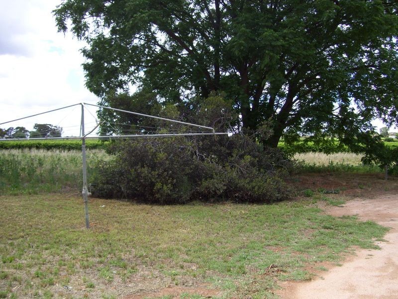 1973 Puddletown Road, Winkie SA 5343