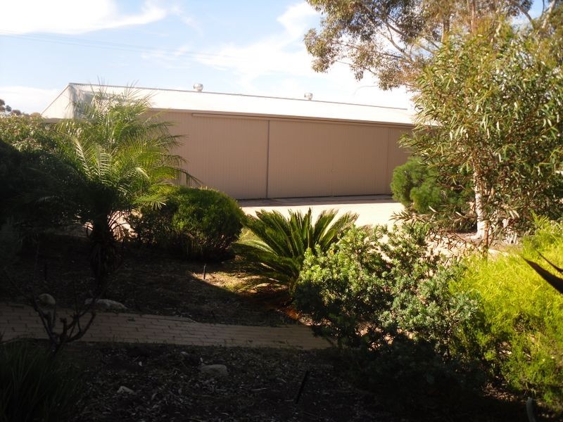 85 Mills Road, Berri SA 5343