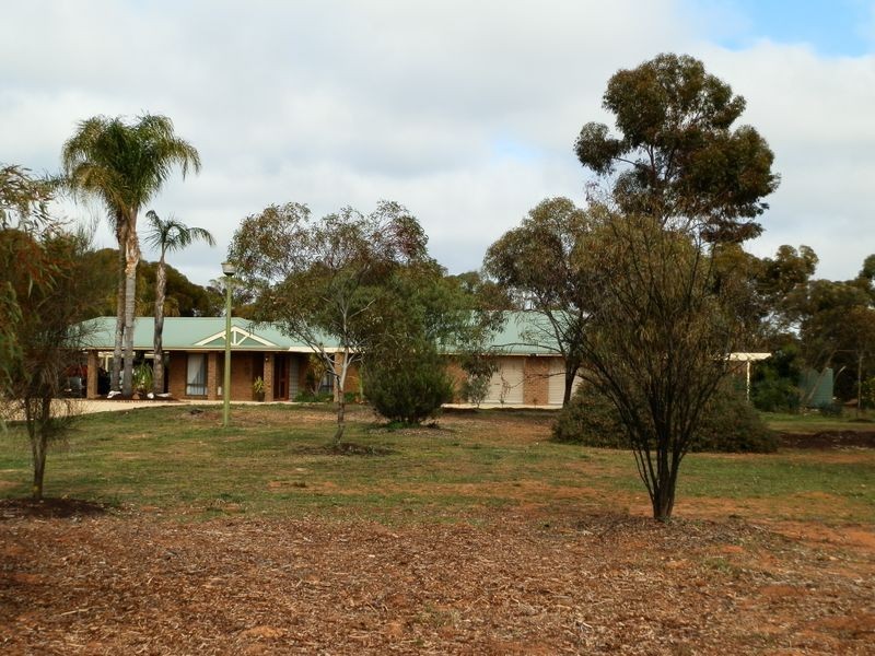 15 Minnis Road, Berri SA 5343