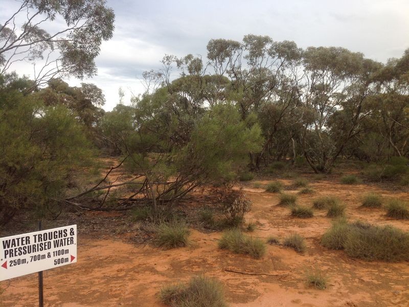 20 Rawnsley Road, Loveday SA 5345