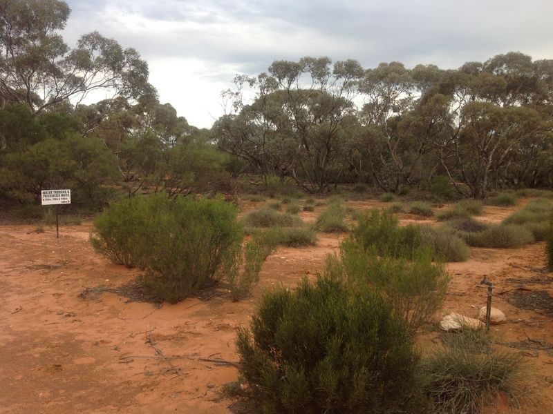 20 Rawnsley Road, Loveday SA 5345