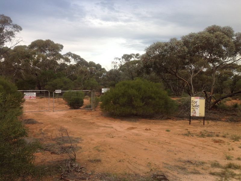 20 Rawnsley Road, Loveday SA 5345