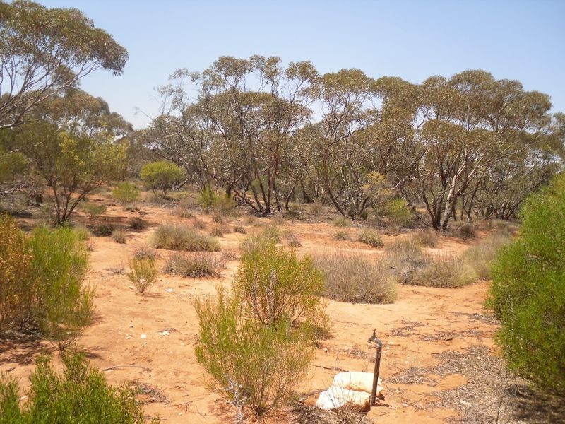 20 Rawnsley Road, Loveday SA 5345