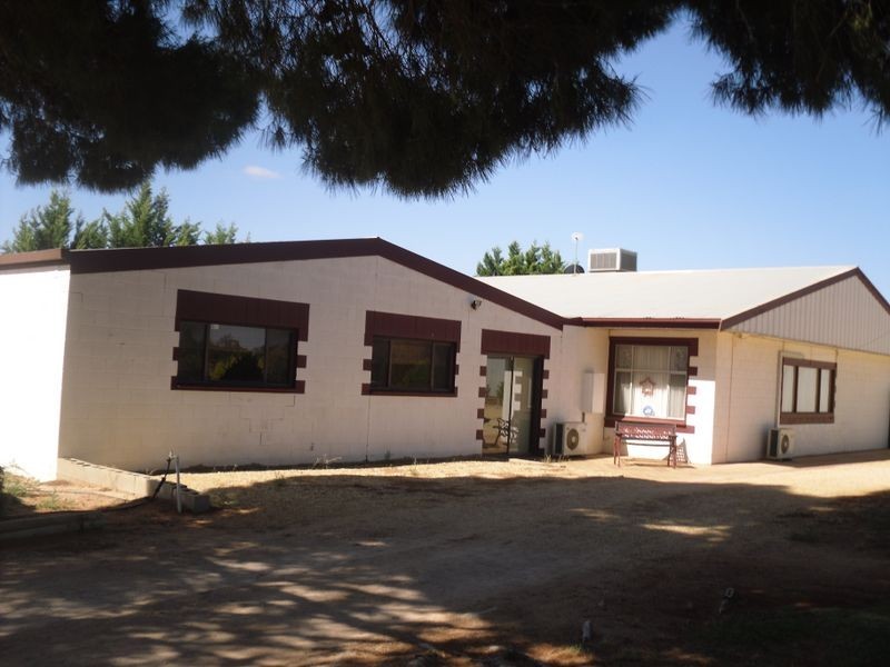82 Gillespie Rd, Barmera SA 5345