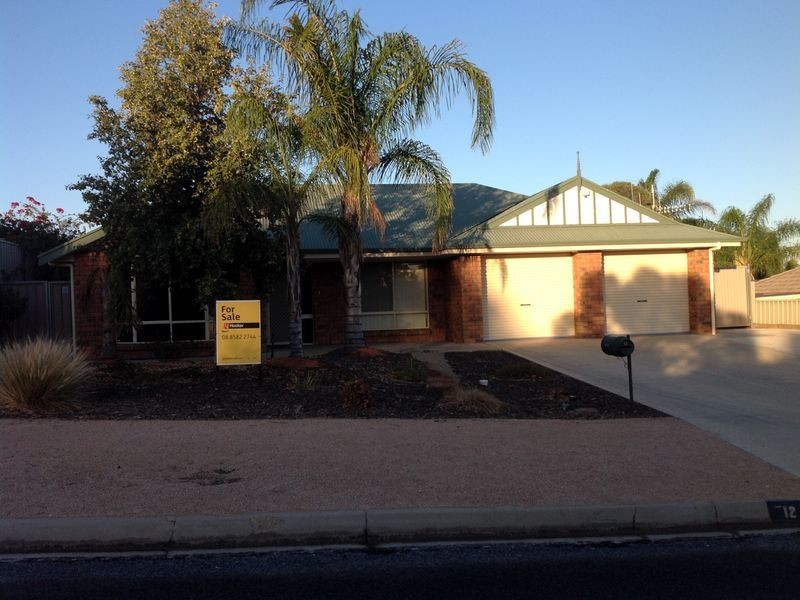 12 McLean Street, Berri SA 5343