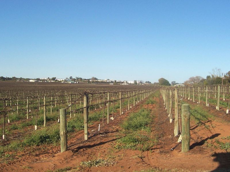 Slaven Road, Winkie SA 5343