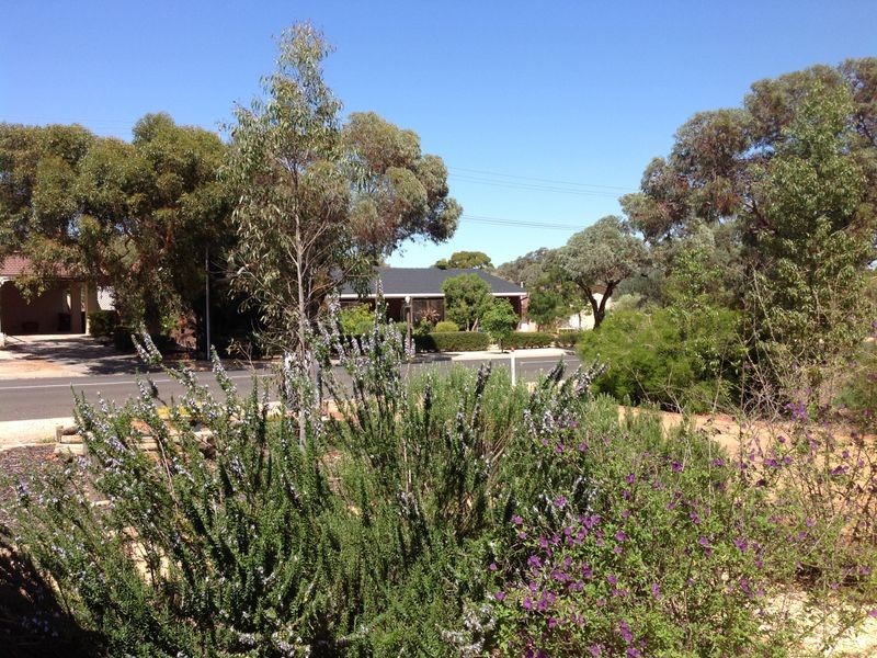 17 Bruce Road, Barmera SA 5345