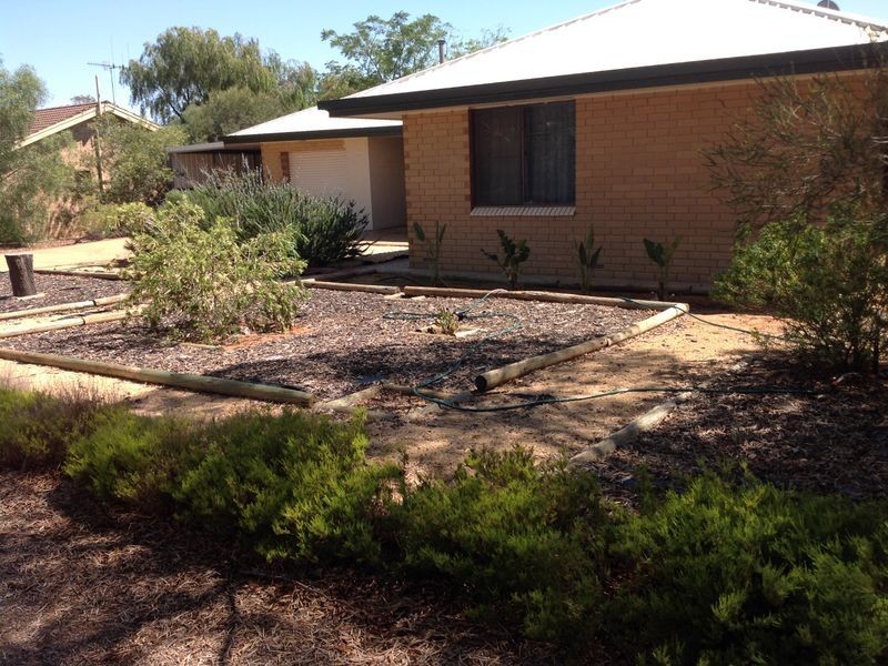 17 Bruce Road, Barmera SA 5345