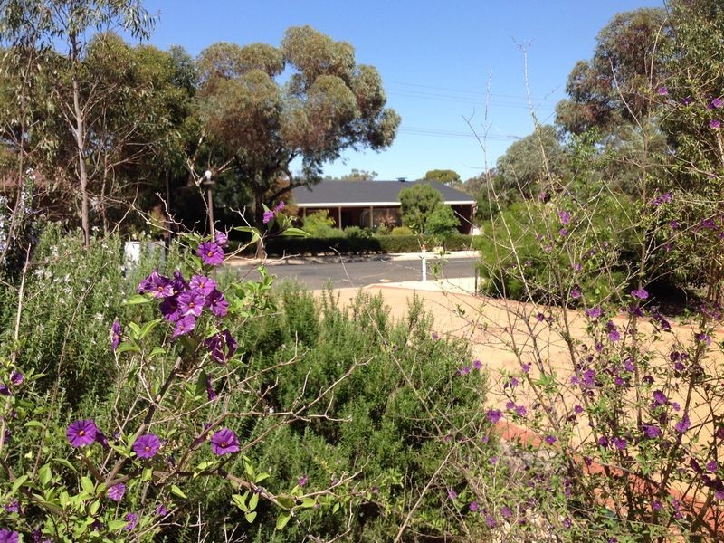 17 Bruce Road, Barmera SA 5345