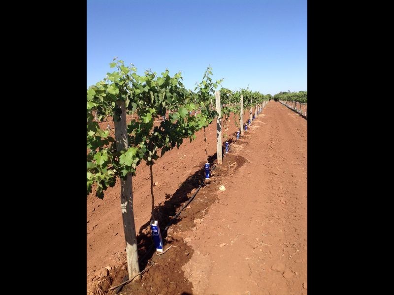 Sect 375/7 Slaven Road, Glossop SA 5344