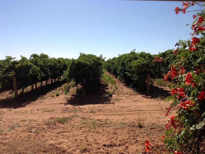 Sect 375/7 Slaven Road, Glossop SA 5344