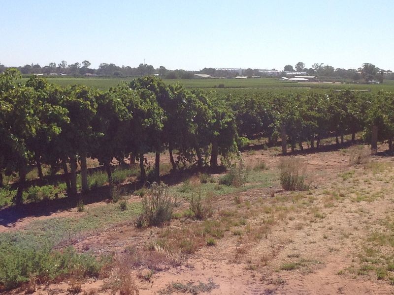 Sect 375/7 Slaven Road, Glossop SA 5344