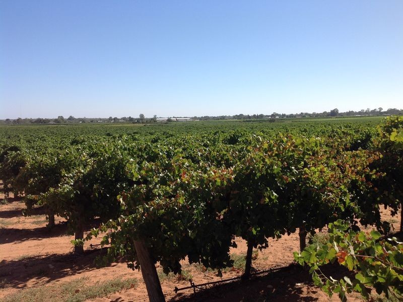 Sect 375/7 Slaven Road, Glossop SA 5344